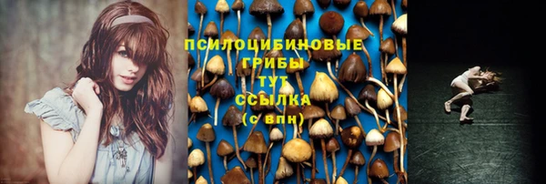 гидропоника Нефтегорск