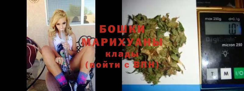 МАРИХУАНА OG Kush  гидра сайт  Горбатов 